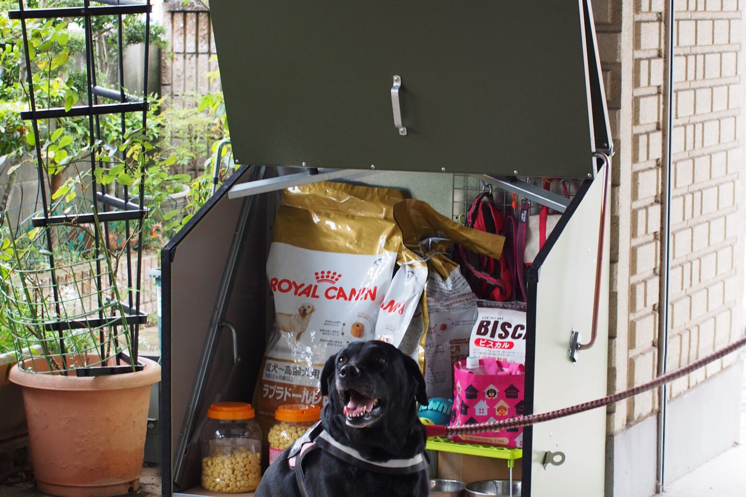 Trimetals Sentinel (Small) Garden Storage Box - Outdoor Structures UK